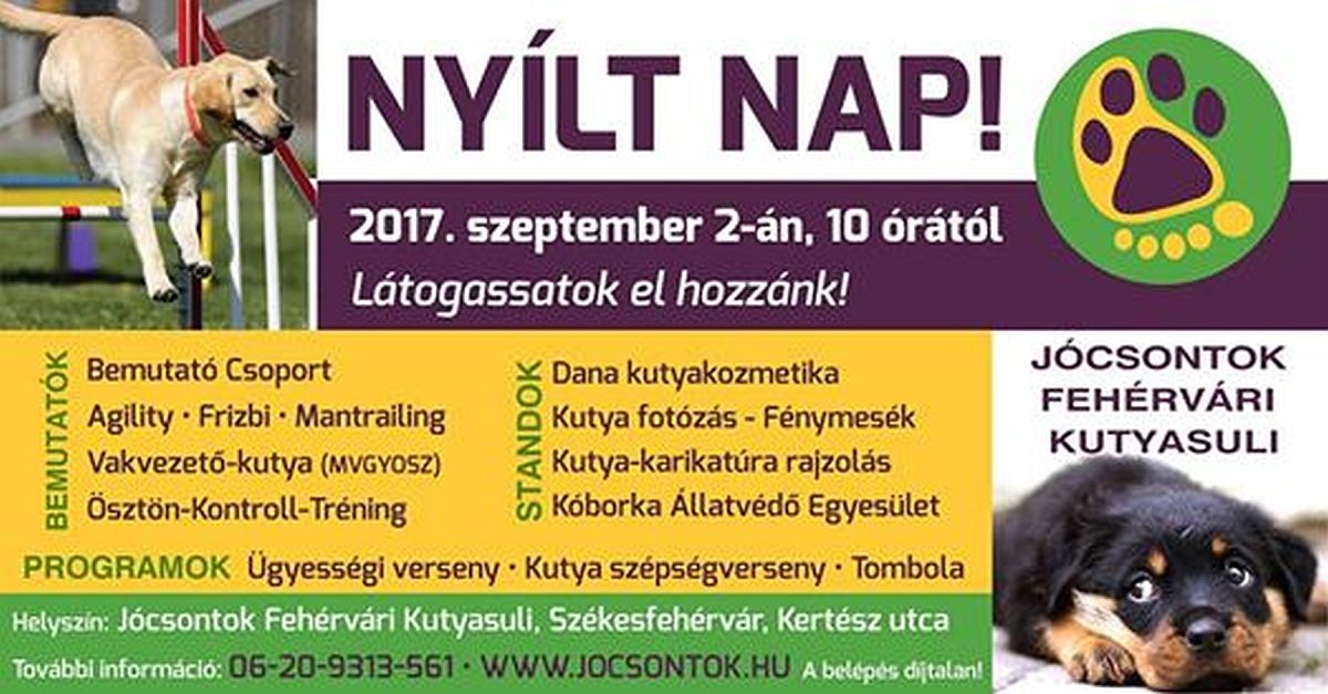 Nyílt napot tartanak szombaton a Jócsontok Fehérvári Kutyasuliban